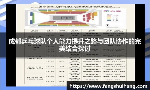 成都乒乓球队个人能力提升之路与团队协作的完美结合探讨